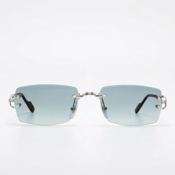 Signature C De Sunglasses
